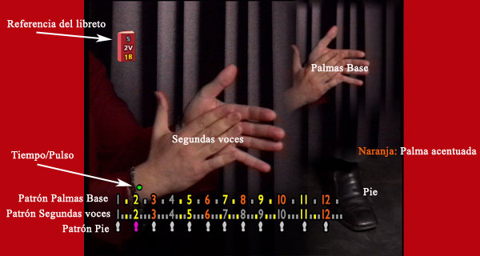 Captura del DVD Aprende y Practica las palmas